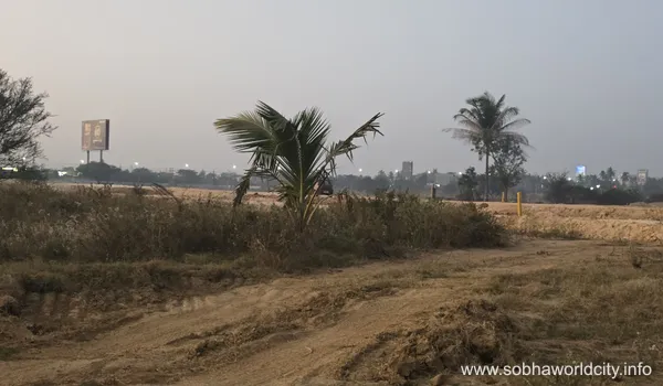 A wide view of the land development at Sobha World City township in Hoskote, Bangalore, showing leveled ground, professional site teams, and a perimeter of palm trees under a clear sky.