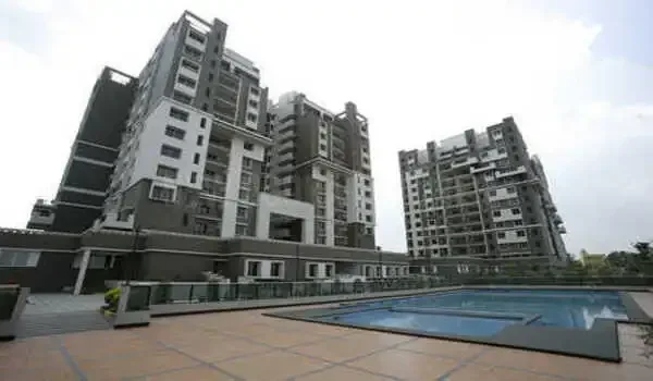 Featured Image of Sobha Petunia